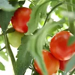 Apartament Casale Mansano - Natura E Relax Nelle Colline Vigolzone
