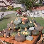 Casale Mansano - Natura E Relax Nelle Colline Vigolzone