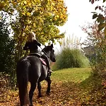 Apartament Casale Mansano - Natura E Relax Nelle Colline *