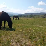 Casale Mansano - Natura E Relax Nelle Colline Apartament