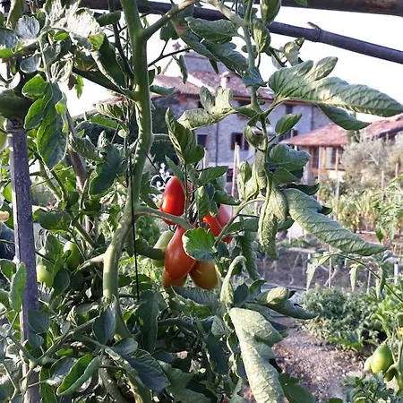 Casale Mansano - Natura E Relax Nelle Colline Vigolzone