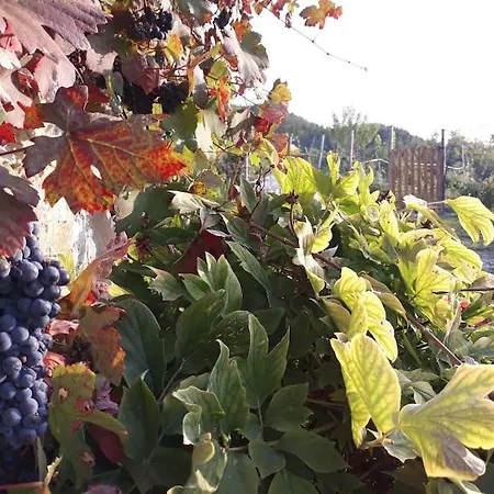 Casale Mansano - Natura E Relax Nelle Colline Apartment Vigolzone