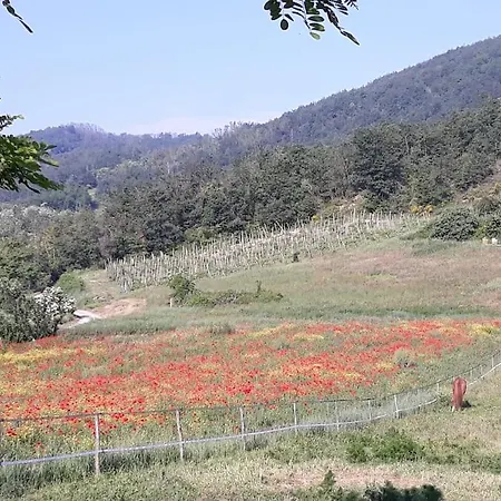 Casale Mansano - Natura E Relax Nelle Colline Apartment