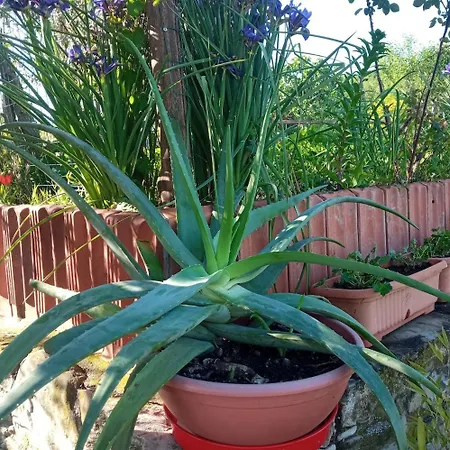 Casale Mansano - Natura E Relax Nelle Colline *