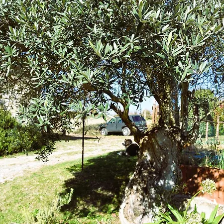 Apartmán Casale Mansano - Natura E Relax Nelle Colline *