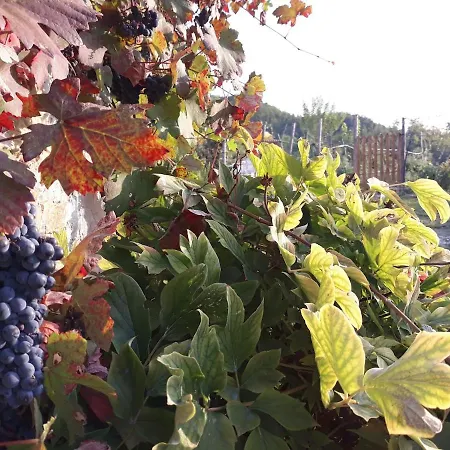 Casale Mansano - Natura E Relax Nelle Colline * Vigolzone