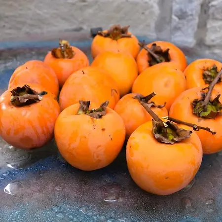 Casale Mansano - Natura E Relax Nelle Colline 公寓