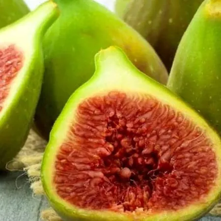 Appartement Casale Mansano - Natura E Relax Nelle Colline Vigolzone