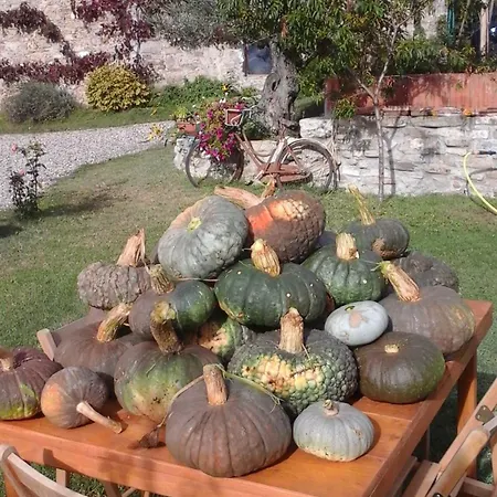 Casale Mansano - Natura E Relax Nelle Colline Vigolzone