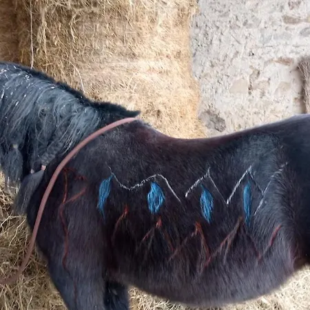 Casale Mansano - Natura E Relax Nelle Colline *