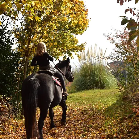 公寓 Casale Mansano - Natura E Relax Nelle Colline *
