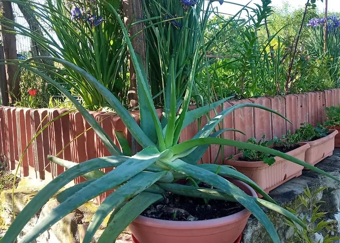 Casale Mansano - Natura E Relax Nelle Colline *