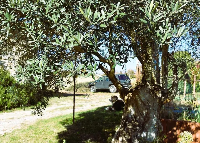 Daire Casale Mansano - Natura E Relax Nelle Colline *