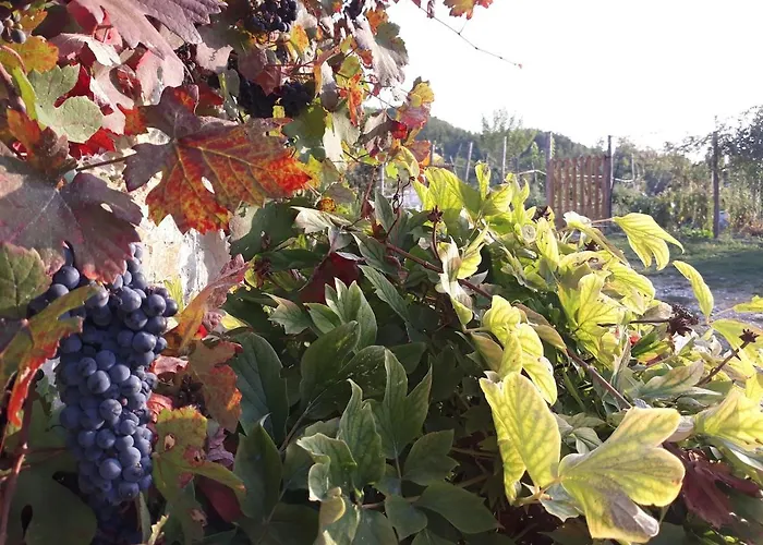 Casale Mansano - Natura E Relax Nelle Colline * Vigolzone