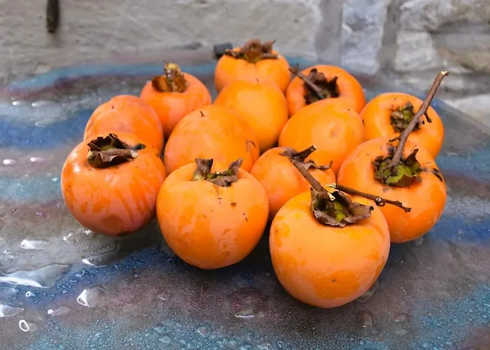 Casale Mansano - Natura E Relax Nelle Colline Appartement