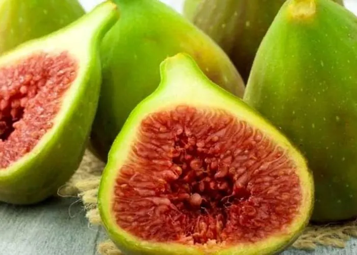 Daire Casale Mansano - Natura E Relax Nelle Colline Vigolzone