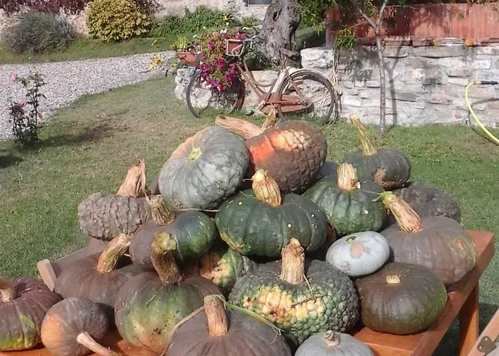 Casale Mansano - Natura E Relax Nelle Colline Vigolzone