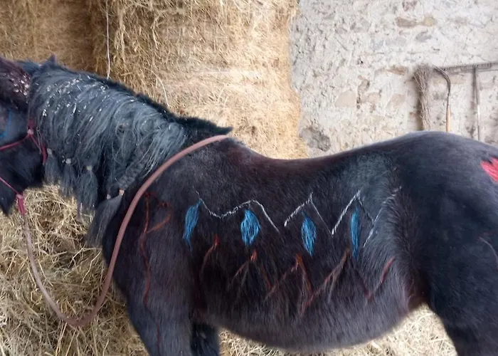 Casale Mansano - Natura E Relax Nelle Colline *