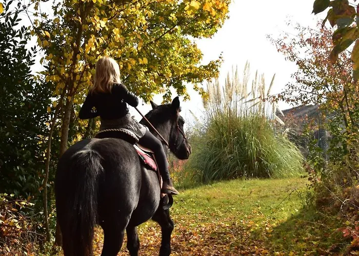 Daire Casale Mansano - Natura E Relax Nelle Colline *