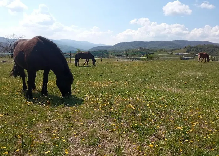 Casale Mansano - Natura E Relax Nelle Colline Appartement